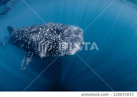 I admired I admired 120633055