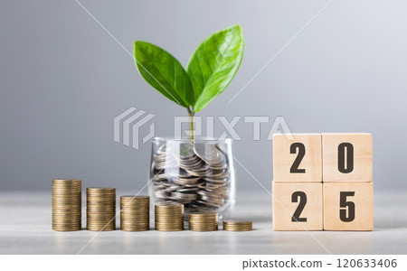 A coin jar with a sprouting plant and stacked coins rising in size symbolize growing finances. Wooden blocks displaying '2025' highlight planning and saving for future financial goals 120633406
