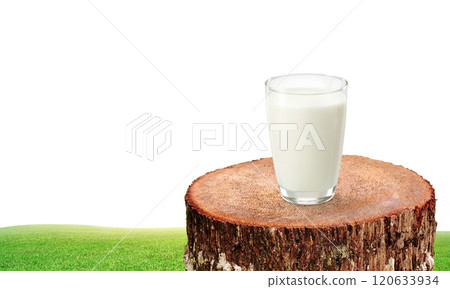 Glass of milk on a natural tree stump. Glass of milk on a natural tree stump. 120633934