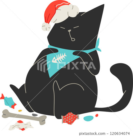 black cat in santa hat and in bib sleeping black cat in santa hat and in bib sleeping 120634074