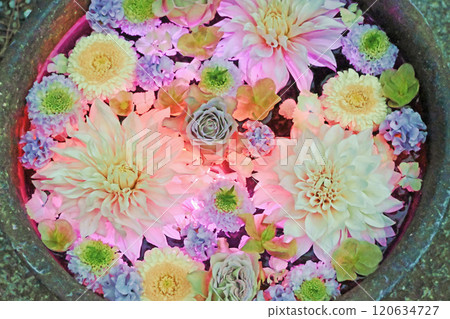 Illuminated flower water 120634727