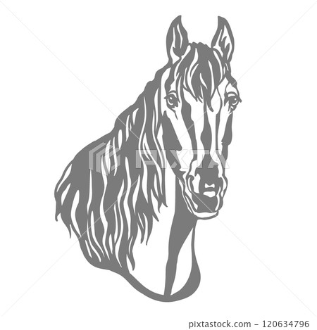 Horse illustration template vector illustration 120634796