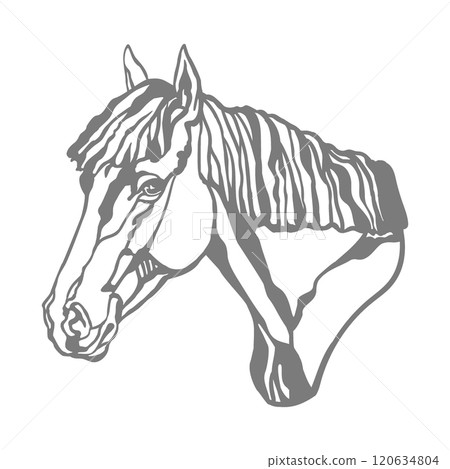 Head of Horse illustration stencil template vector illustration 120634804
