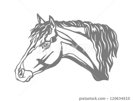 Horse or pony illustration stencil template vector illustration 120634810