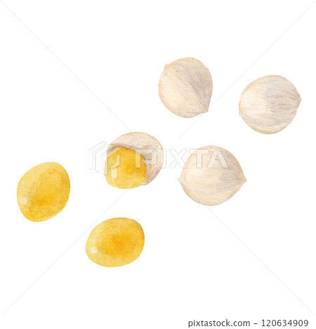 現實的銀杏光柵圖畫水彩 120634909