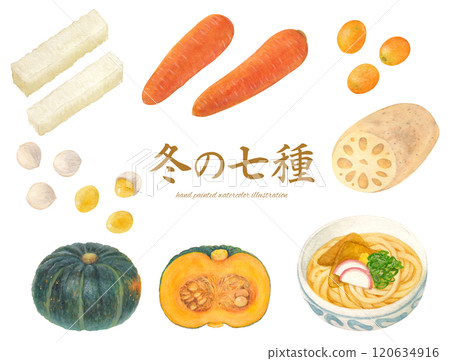 七個冬季物種的水彩手繪光柵圖 七個冬季物種的水彩手繪光柵圖 120634916