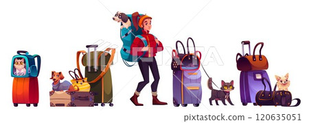Pet travel equipment set Pet travel equipment set 120635051