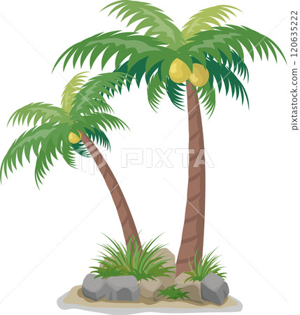 Palm tree 120635222