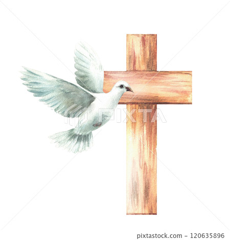 White dove with wooden cross. Flying bird pigeon, symbol of peace and Christian religion. Watercolor hand drawn illustration for Baptism, Christening or first communion card. Isolated from background White dove with wooden cross. Flying bird pigeon, symbol of peace and Christian religion. Watercolor hand drawn illustration for Baptism, Christening or first communion card. Isolated from background 120635896
