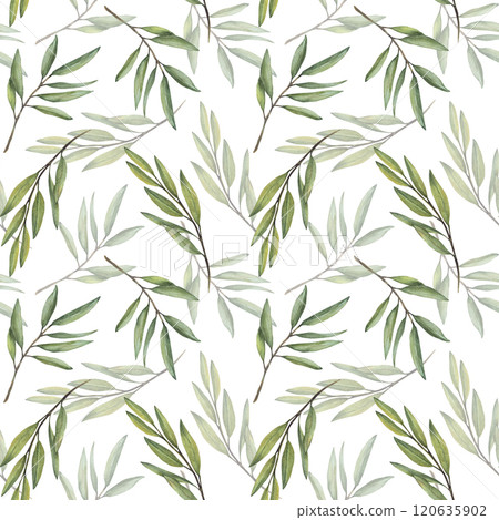 Olive tree branch, fruitless Green leaves twigs seamless pattern. Botanical floral Watercolor Hand drawn greenery in realistic style illustration for wallpaper, fabric print. Isolated white background Olive tree branch, fruitless Green leaves twigs seamless pattern. Botanical floral Watercolor Hand drawn greenery in realistic style illustration for wallpaper, fabric print. Isolated white background 120635902