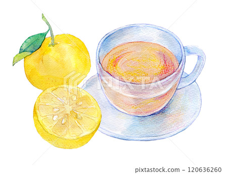 Watercolor illustration drink Yuzu tea Watercolor illustration drink Yuzu tea 120636260