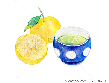 水彩插圖喝柚子茶 水彩插圖喝柚子茶 120636261