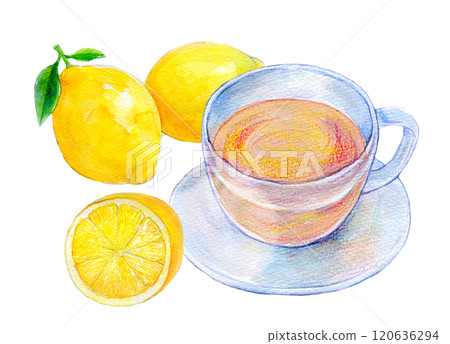 Watercolor illustration Hot drink Lemon tea 120636294