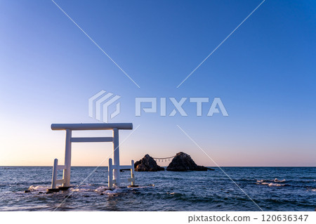 福岡縣糸島市、櫻井二見浦夫婦岩與傍晚的白色鳥居 120636347