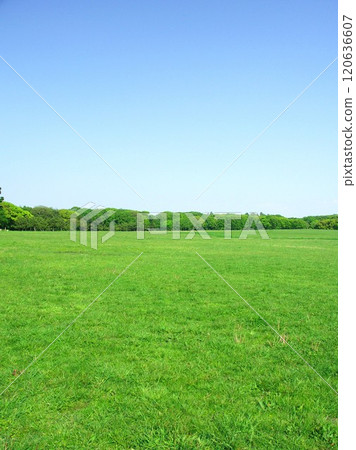 Spring Mizumoto Park landscape with grassland and forest Spring Mizumoto Park landscape with grassland and forest 120636607