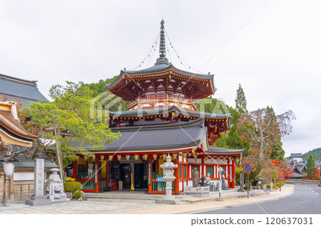 Koyasan Seifuku-in Mani Treasure Pagoda Koyasan Seifuku-in Mani Treasure Pagoda 120637031