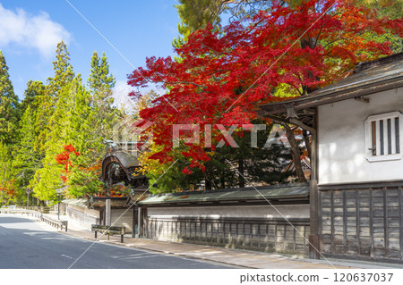 高野山，紅葉覆蓋的引道 120637037
