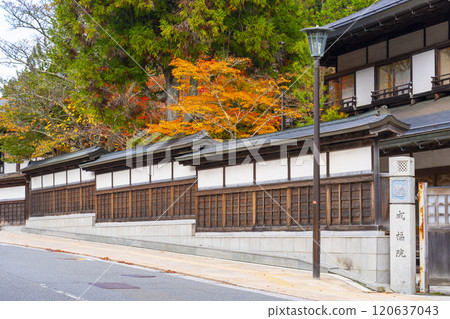 高野山,紅葉覆蓋的引道 高野山,紅葉覆蓋的引道 120637043