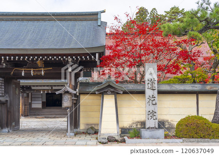 高野山、蓮華院被秋葉包裹著 高野山、蓮華院被秋葉包裹著 120637049