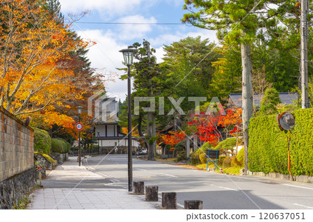 高野山,紅葉覆蓋的引道 高野山,紅葉覆蓋的引道 120637051