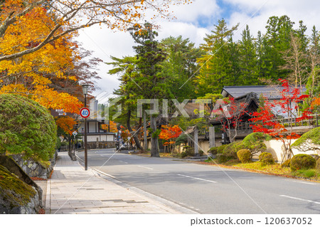 Koyasan: The approach to the temple is enveloped in autumn leaves Koyasan: The approach to the temple is enveloped in autumn leaves 120637052