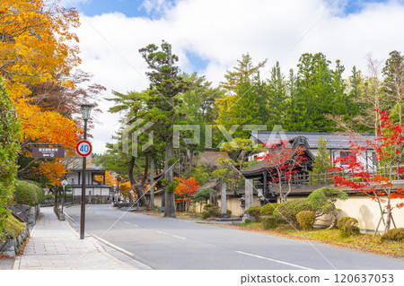 高野山,紅葉覆蓋的引道 高野山,紅葉覆蓋的引道 120637053