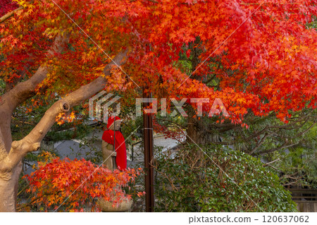 Mount Koya: Jizo Statue of Safety surrounded by autumn leaves Mount Koya: Jizo Statue of Safety surrounded by autumn leaves 120637062