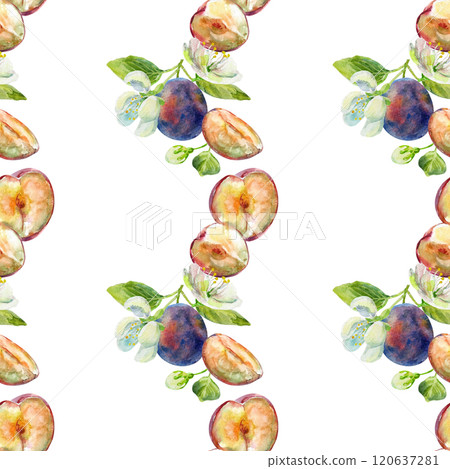 Seamless border of the plums branch with leaves and flowers on an isolated on a white background. Realistic illustration with watercolor hand drawn. Would look great on fabric, kitchen towels or food 120637281