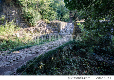 Gunma: Kanayama Castle's lookout moat (Ota City) 120638034