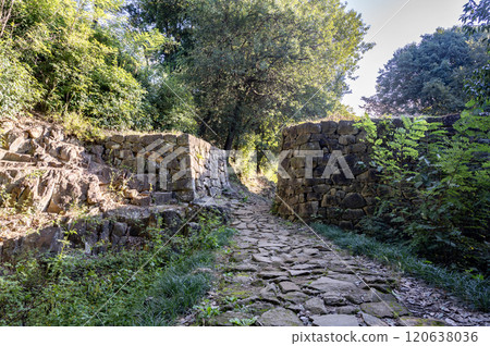 Gunma: Kanayama Castle's lookout moat (Ota City) 120638036