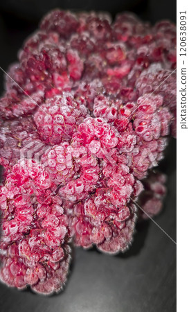 Frozen Raspberries. Food Storage. Use for Baking and Drinks. Vitamins Frozen Raspberries. Food Storage. Use for Baking and Drinks. Vitamins 120638091