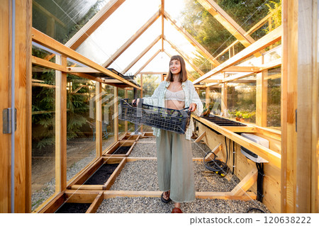 Harvesting Fresh Greens in the Greenhouse Harvesting Fresh Greens in the Greenhouse 120638222