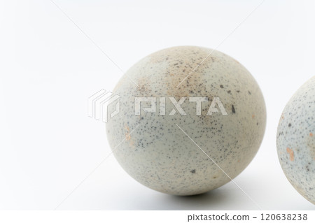 Close-up of whole century egg in shell 120638238