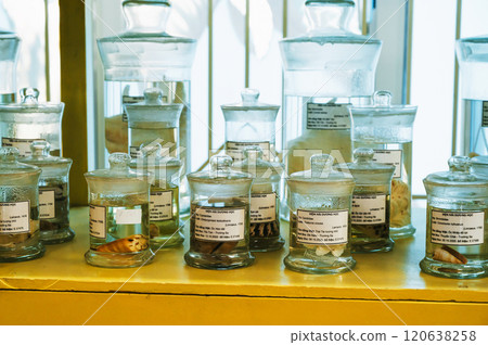 flasks and test tubes with animals in formaldehyde on shelves in biological scientific secret laboratory 120638258