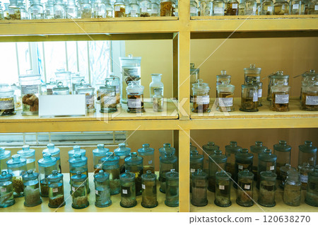 flasks and test tubes with animals in formaldehyde on shelves in biological scientific secret laboratory 120638270