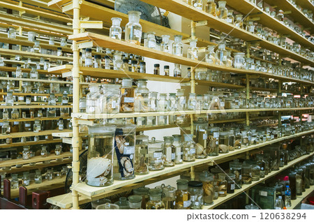flasks and test tubes with samples of organisms in formaldehyde on shelf of scientific secret biochemical laboratory flasks and test tubes with samples of organisms in formaldehyde on shelf of scientific secret biochemical laboratory 120638294