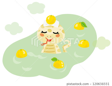 A snake taking a yuzu bath on the winter solstice 120638331