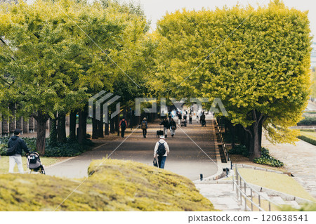 孩子們在秋季公園玩耍 孩子們在秋季公園玩耍 120638541
