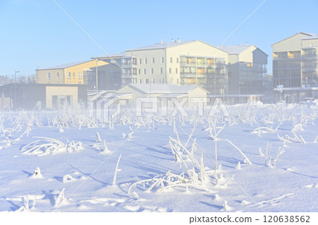 a serene winter morning in a suburban neighborhood 120638562
