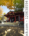 A couple visiting a temple in autumn 120638594