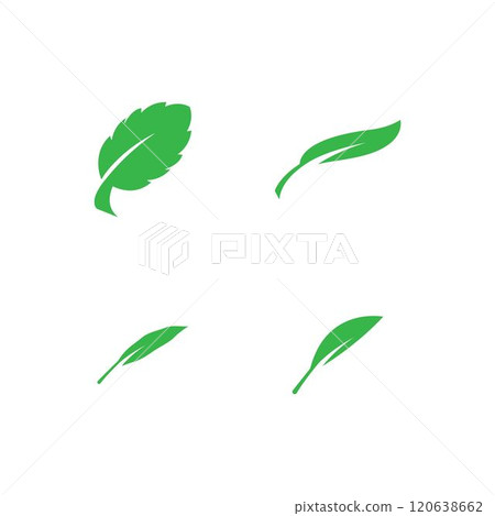 leaf logo 120638662