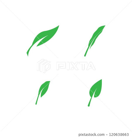 leaf logo 120638663