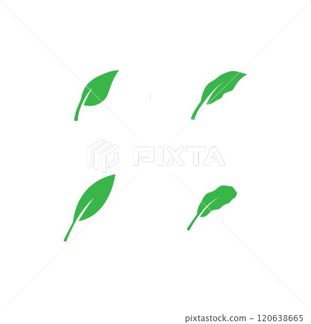 leaf logo leaf logo 120638665