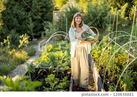 Harvesting Fresh Vegetables in a Mountain Garden 120638881