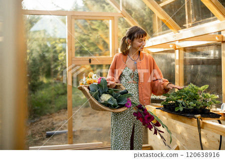 Woman in Greenhouse with Harvest Basket Woman in Greenhouse with Harvest Basket 120638916