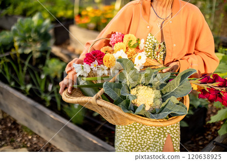 Young Woman with Harvest Basket in Garden 120638925