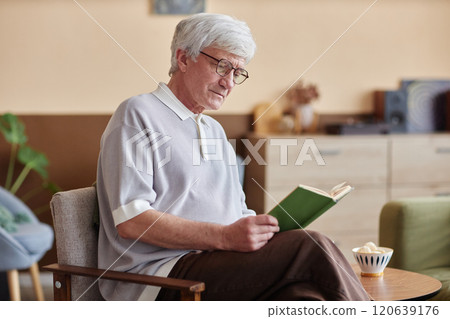 Portrait of Caucasian senior man with grey hair reading book sitting on chair in cozy home and enjoying retirement, copy space 120639176