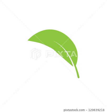 leaf logo 120639218