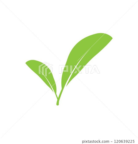 leaf logo leaf logo 120639225