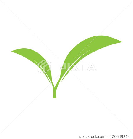 leaf logo 120639244